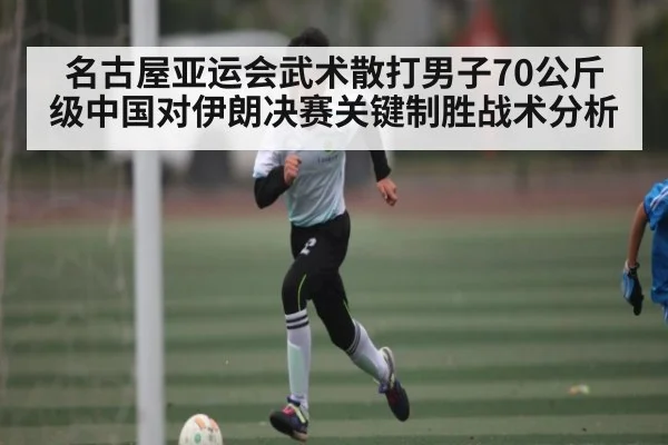 名古屋亚运会武术散打男子70公斤级中国对伊朗决赛关键制胜战术分析